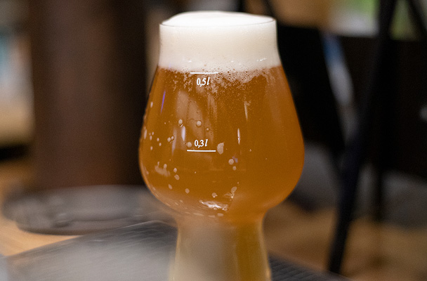 Kombucha