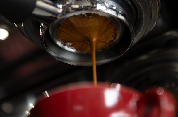Kava